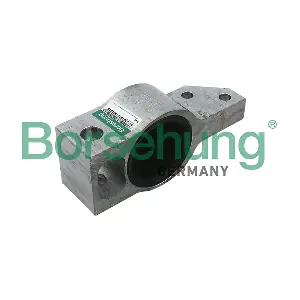 B11353 Borsehung