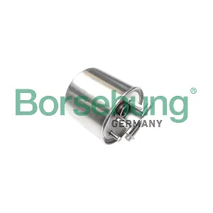 B10482 Borsehung