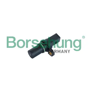 B11865 Borsehung