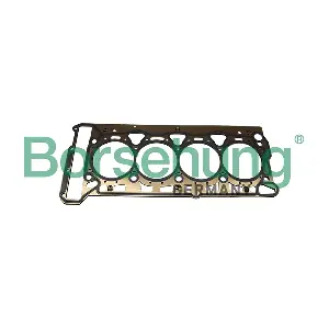 B19126 Borsehung