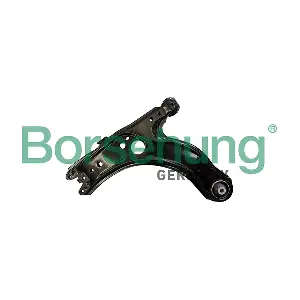 B12205 Borsehung