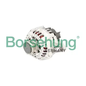 B12045 Borsehung