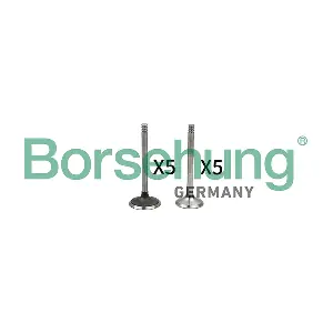 B18662 Borsehung