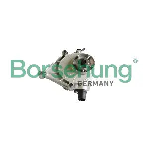 B12221 Borsehung