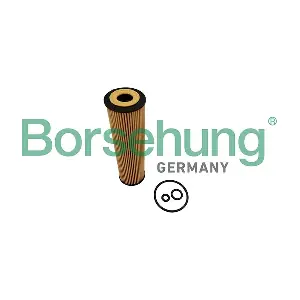 B10453 Borsehung