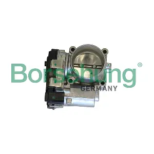 B19290 Borsehung