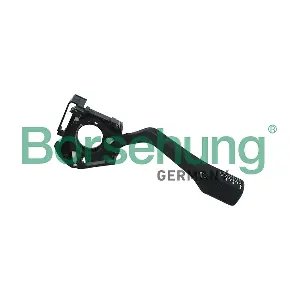 B17970 Borsehung