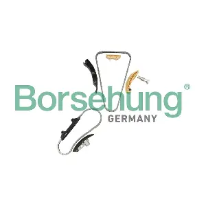 B10207 Borsehung