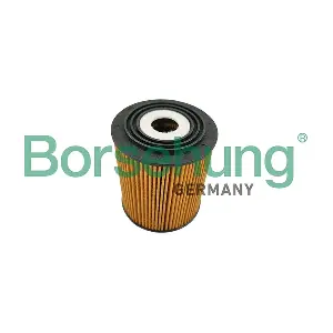 B10451 Borsehung