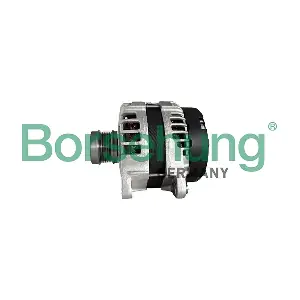 B13009 Borsehung