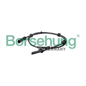 B13113 Borsehung