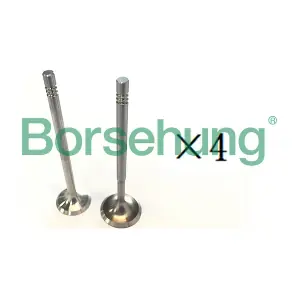 B18194 Borsehung