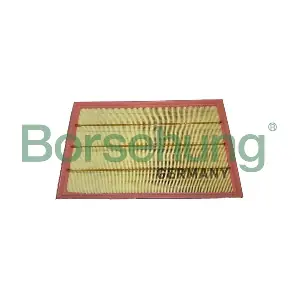 B12445 Borsehung