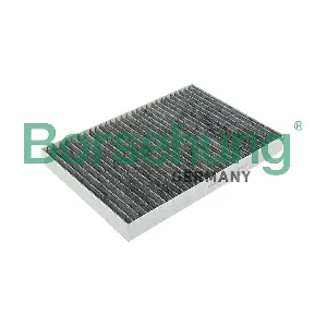 B12800 Borsehung