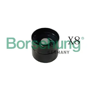 B16920 Borsehung