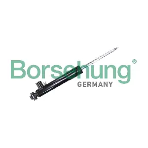 B11179 Borsehung