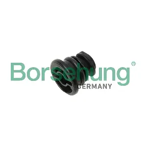 B12929 Borsehung