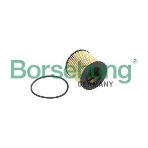 B12821 Borsehung