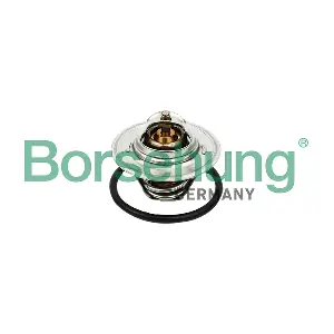 B13140 Borsehung