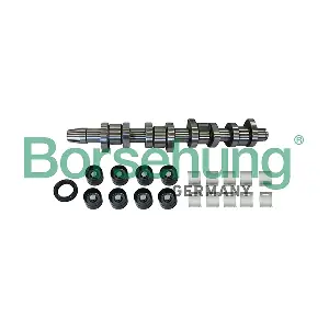 B11307 Borsehung