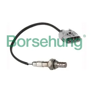 B16928 Borsehung