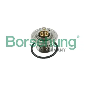 B13141 Borsehung