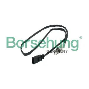 B16930 Borsehung