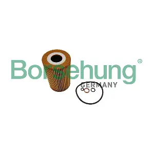 B10452 Borsehung