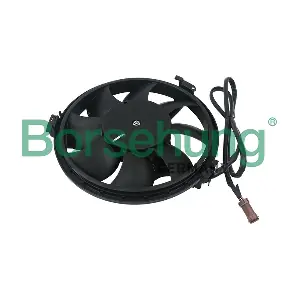 B11491 Borsehung
