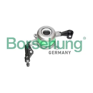 B12706 Borsehung