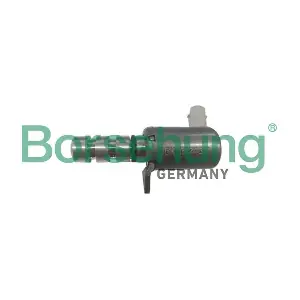 B12314 Borsehung