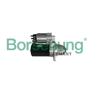 B13012 Borsehung