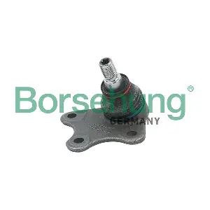 B11338 Borsehung