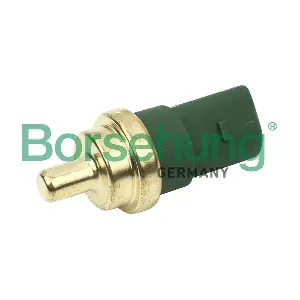 B13132 Borsehung