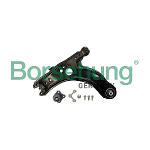 B12210 Borsehung