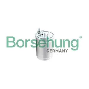 B10477 Borsehung