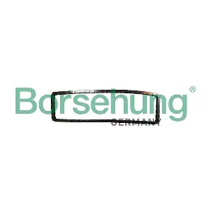 B12783 Borsehung