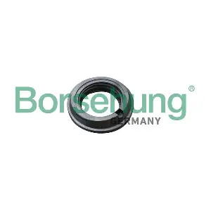 B17827 Borsehung