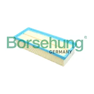 B12811 Borsehung