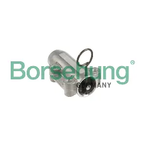 B12945 Borsehung