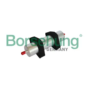 B10484 Borsehung