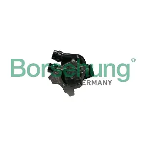 B18736 Borsehung