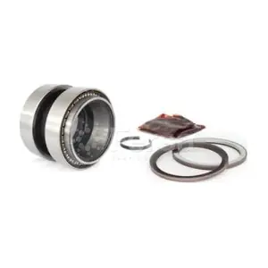 F200012 Fersa Bearings
