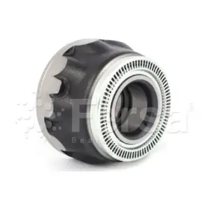 F 300007 Fersa Bearings