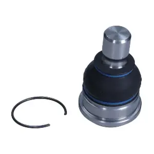 QS5038/HQ QUARO