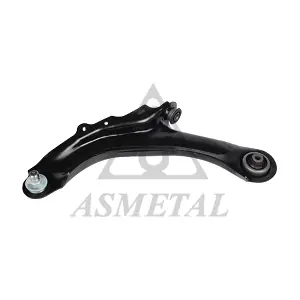 30RN5543 ASMETAL