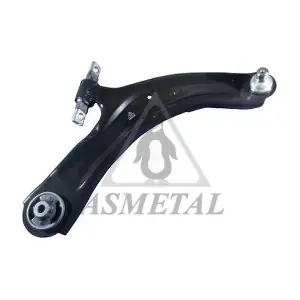 30NS1011 ASMETAL