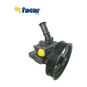 825027 FACAR