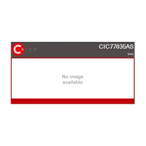 CIC77035AS CASCO