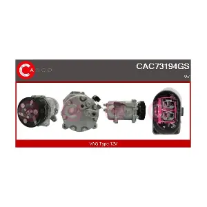 CAC73194GS CASCO